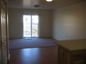 Picture of the backdoor and dining area. The area right in front of the back door is carpeted. As you look to the foreground you can see the dining area with hardwood flooring. 